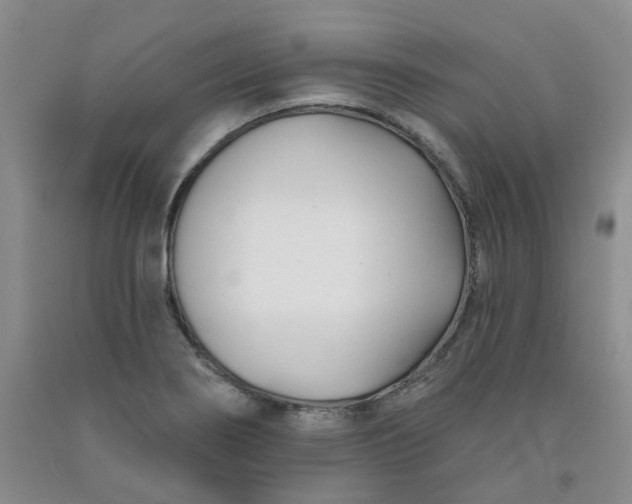 X0000091991274200709201440