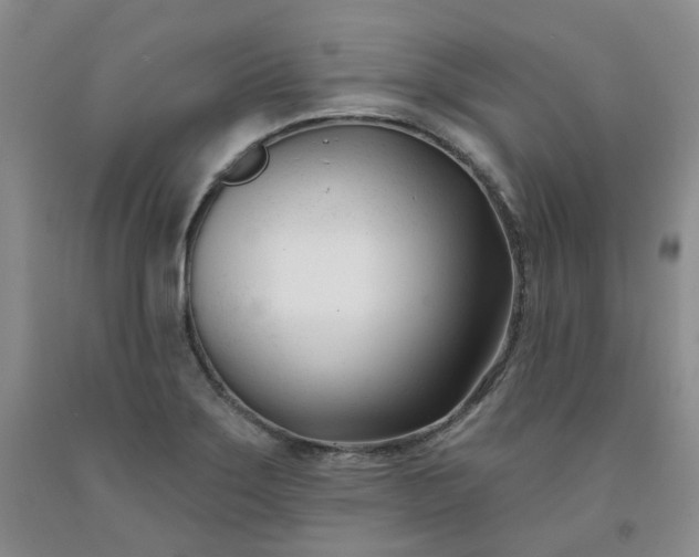 X0000091991275200709201440