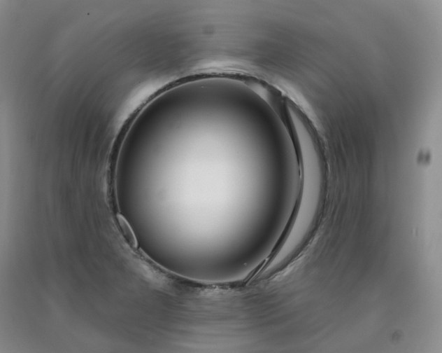 X0000091991277200709201440
