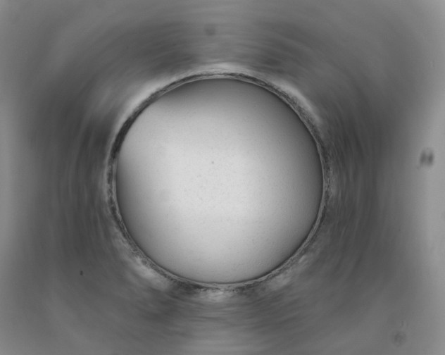X0000091991278200709201440