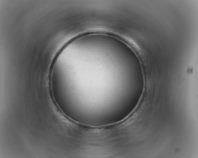 X0000091991279200709201440