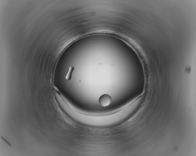 X0000091991281200709201440