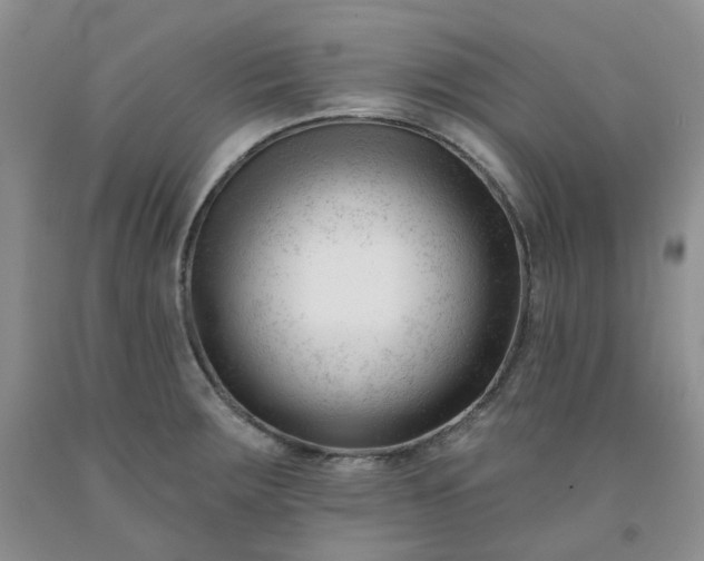 X0000091991283200709201440