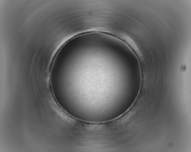 X0000091991284200709201440