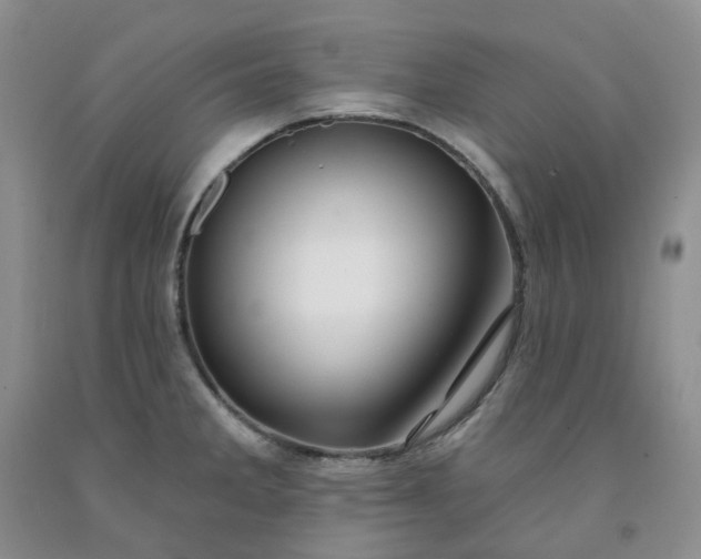 X0000091991285200709201440