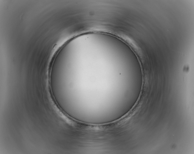 X0000091991286200709201440