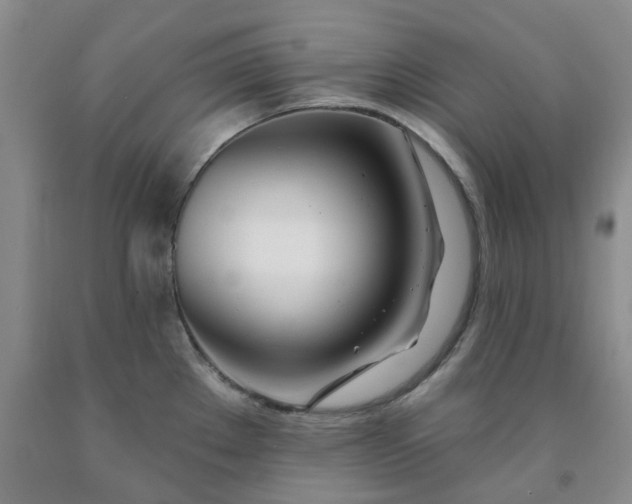 X0000091991289200709201440