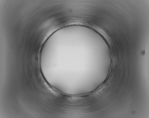 X0000091991290200709201440