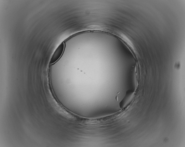 X0000091991291200709201440