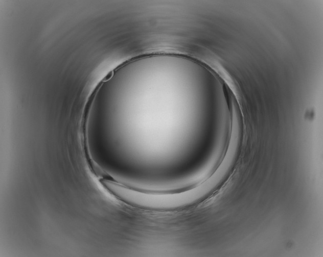 X0000091991293200709201440