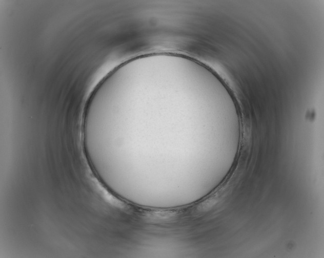 X0000091991294200709201440