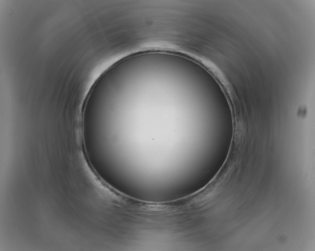 X0000091991295200709201440