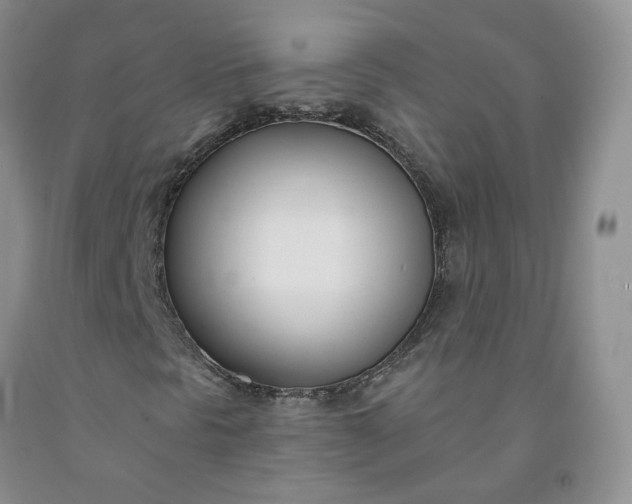 X0000091991297200709201439