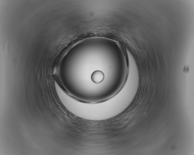 X0000091991298200709201439