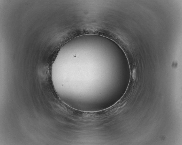 X0000091991299200709201439