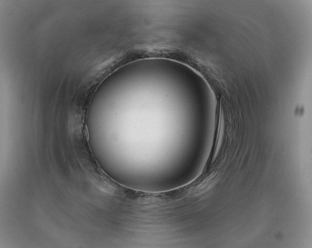 X0000091991300200709201439