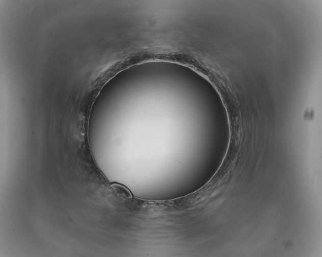 X0000091991301200709201439