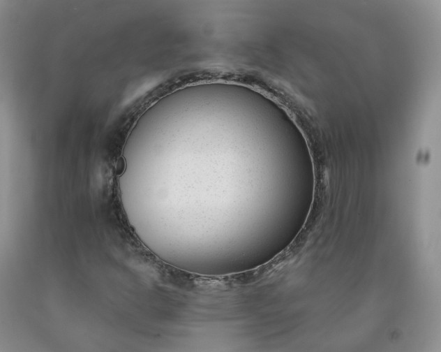 X0000091991302200709201439