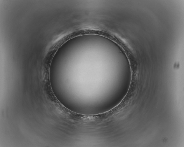 X0000091991303200709201439
