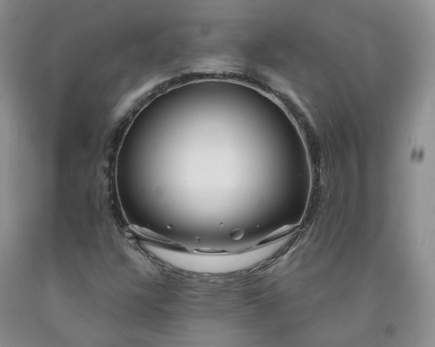 X0000091991304200709201439