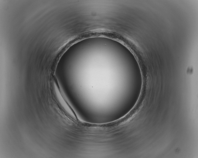 X0000091991305200709201439