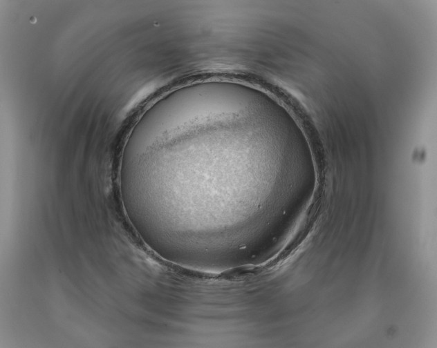 X0000091991306200709201439