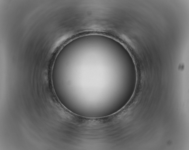 X0000091991307200709201439