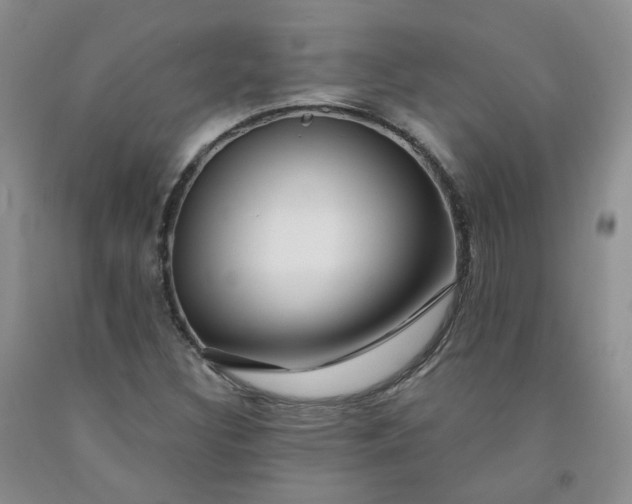 X0000091991308200709201439