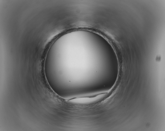 X0000091991309200709201439
