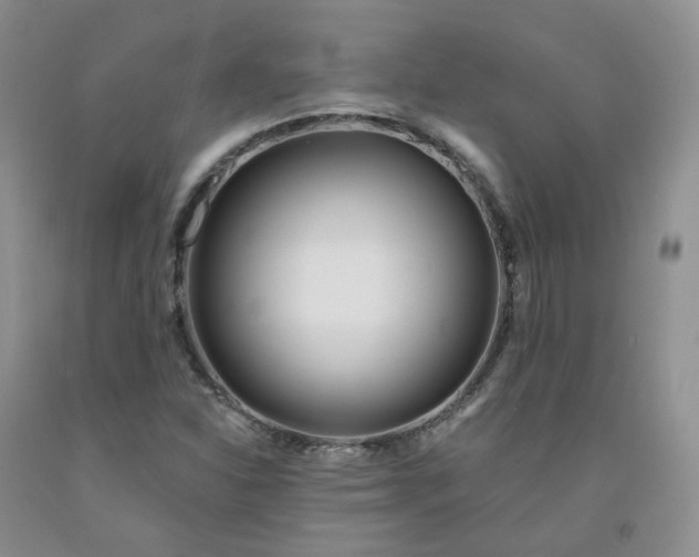 X0000091991310200709201439