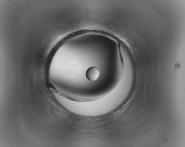 X0000091991311200709201439