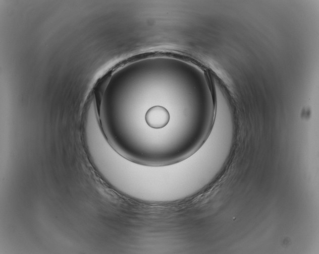 X0000091991316200709201439