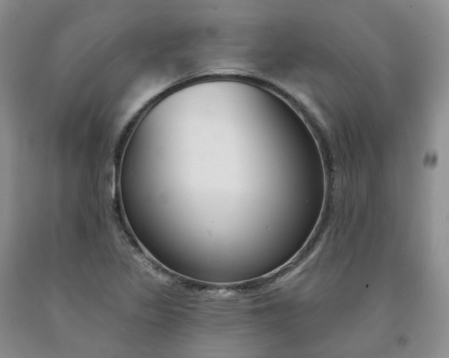 X0000091991317200709201439