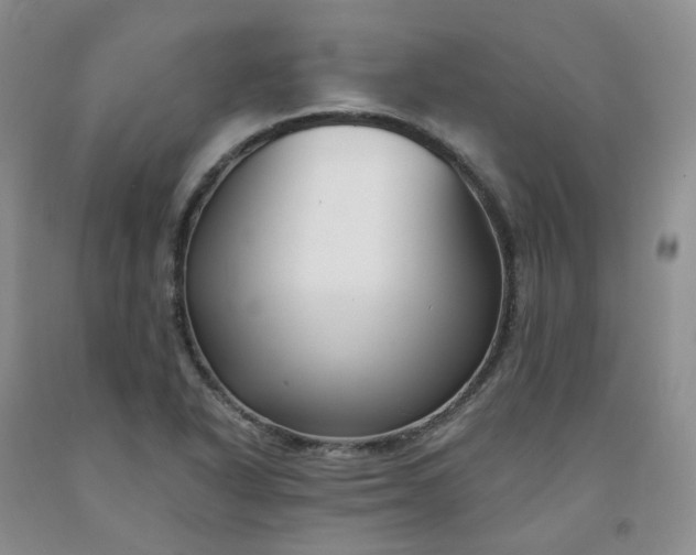 X0000091991318200709201439