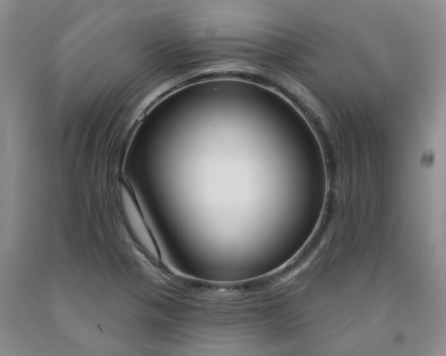 X0000091991321200709201439