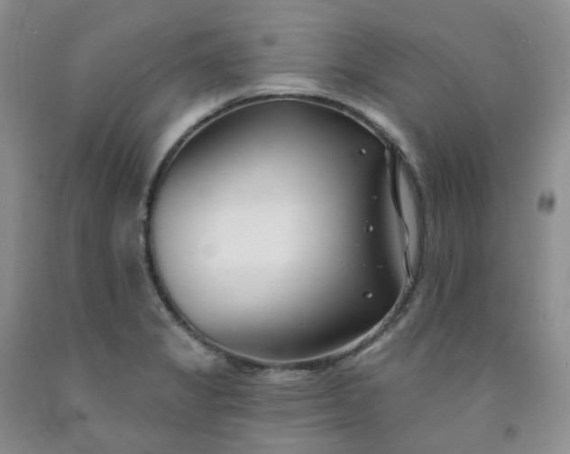 X0000091991325200709201439