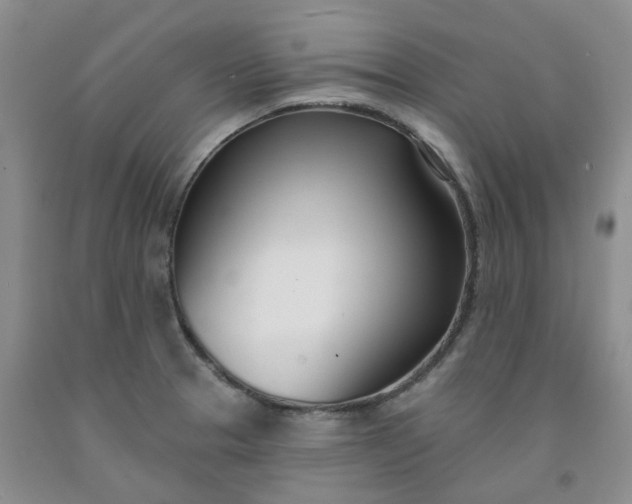 X0000091991329200709201440