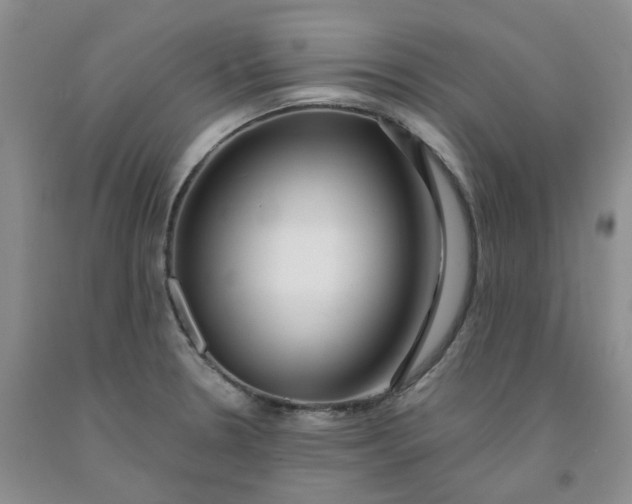 X0000091991330200709201440