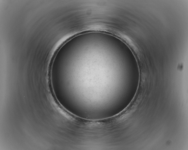 X0000091991331200709201440
