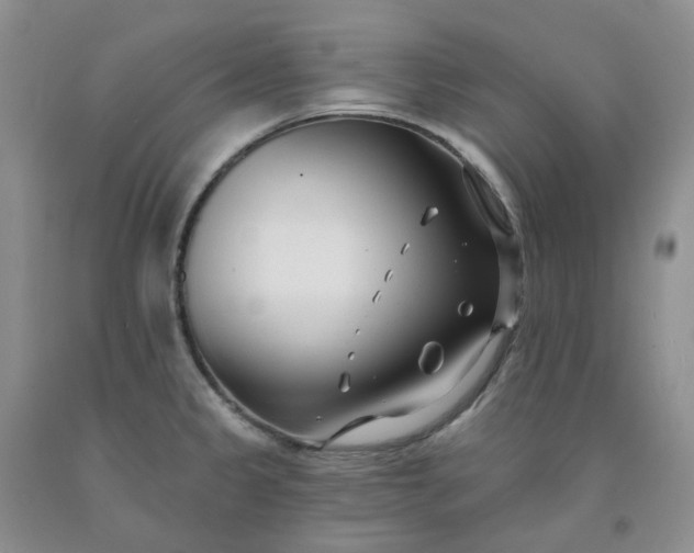 X0000091991333200709201440