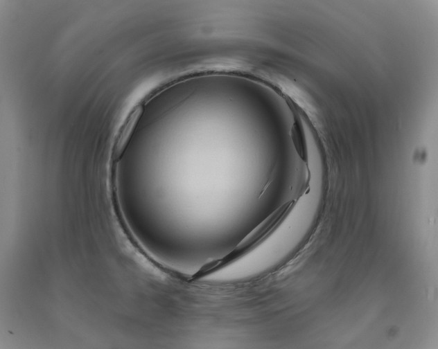 X0000091991334200709201440