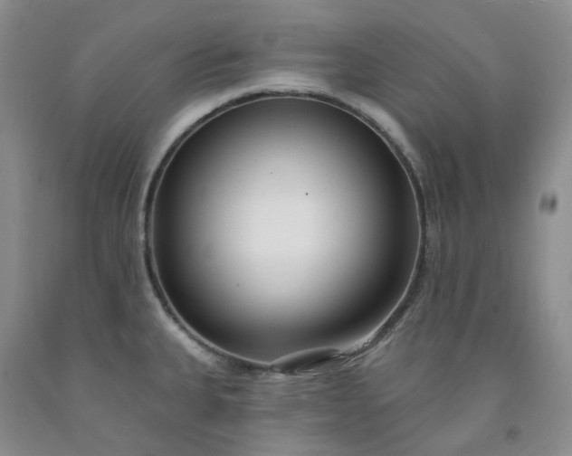 X0000091991335200709201440
