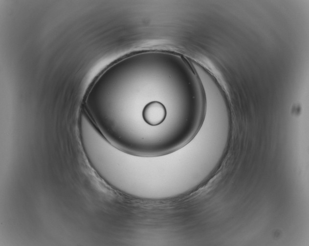 X0000091991336200709201440