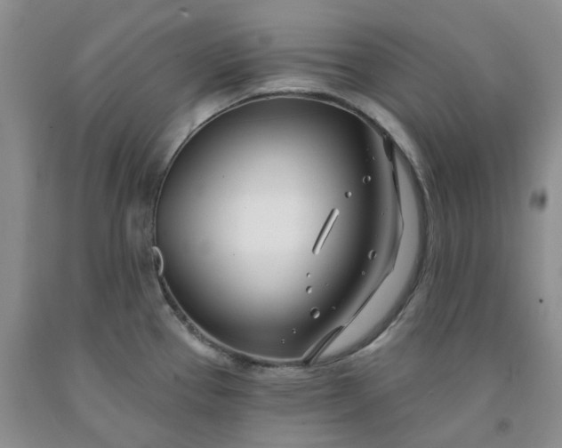 X0000091991337200709201440