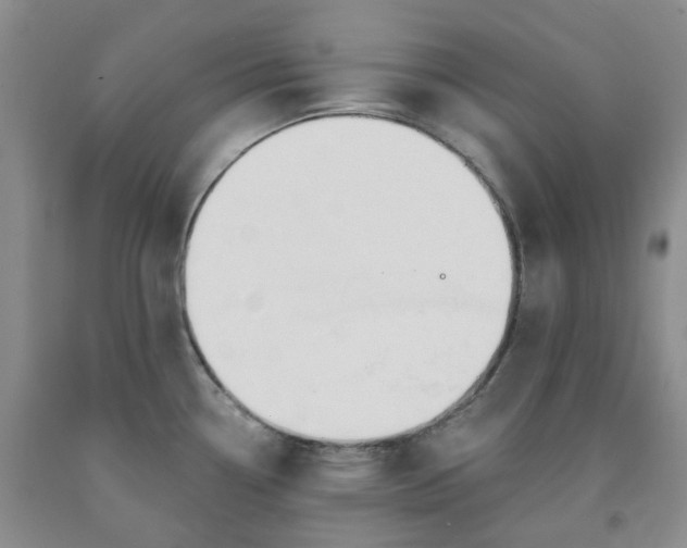 X0000091991338200709201440