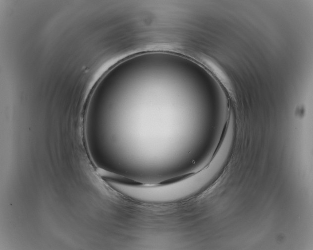 X0000091991340200709201440