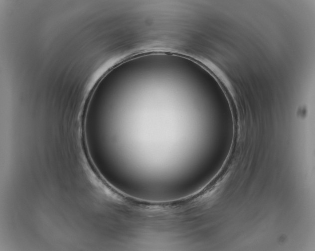 X0000091991341200709201440