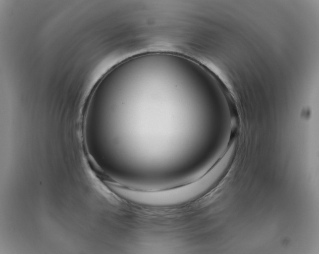 X0000091991342200709201440