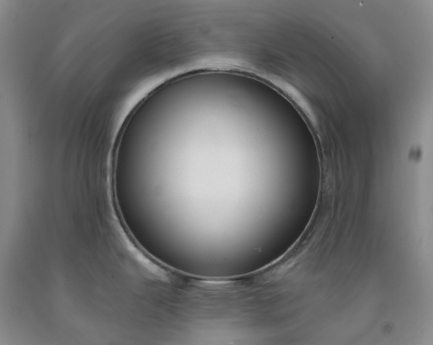 X0000091991343200709201440