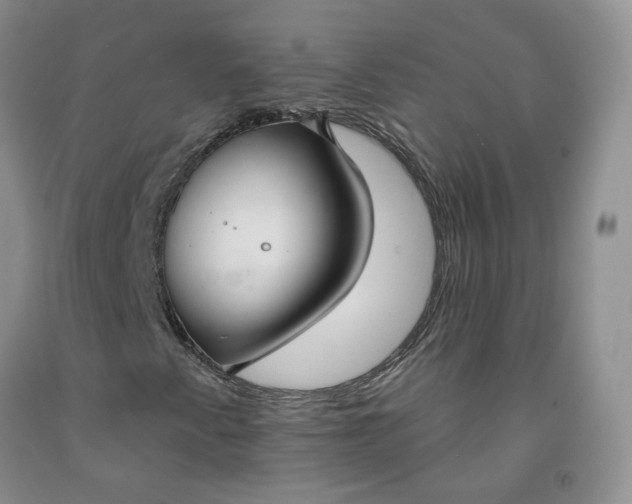 X0000091991345200709201439